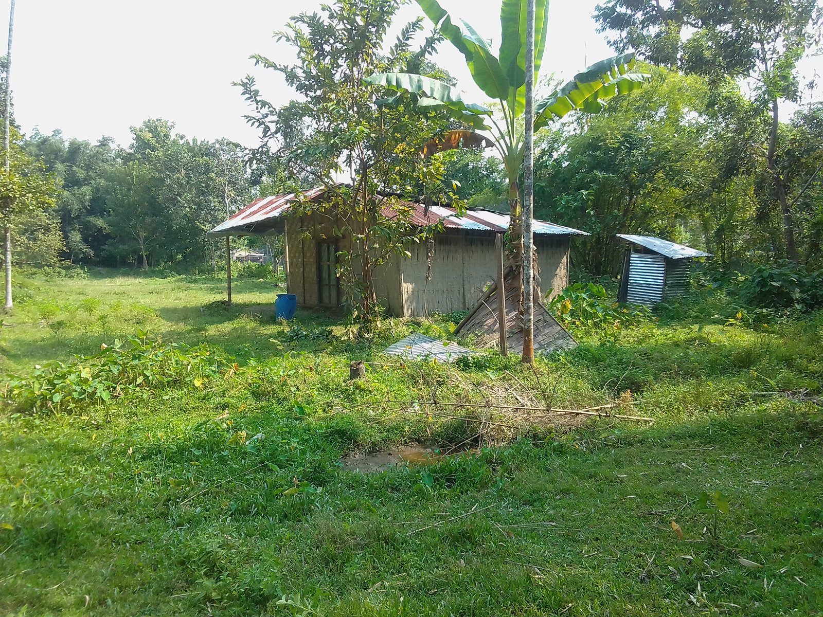 Land for immediate sale - Ranipiur Manipuri Colony