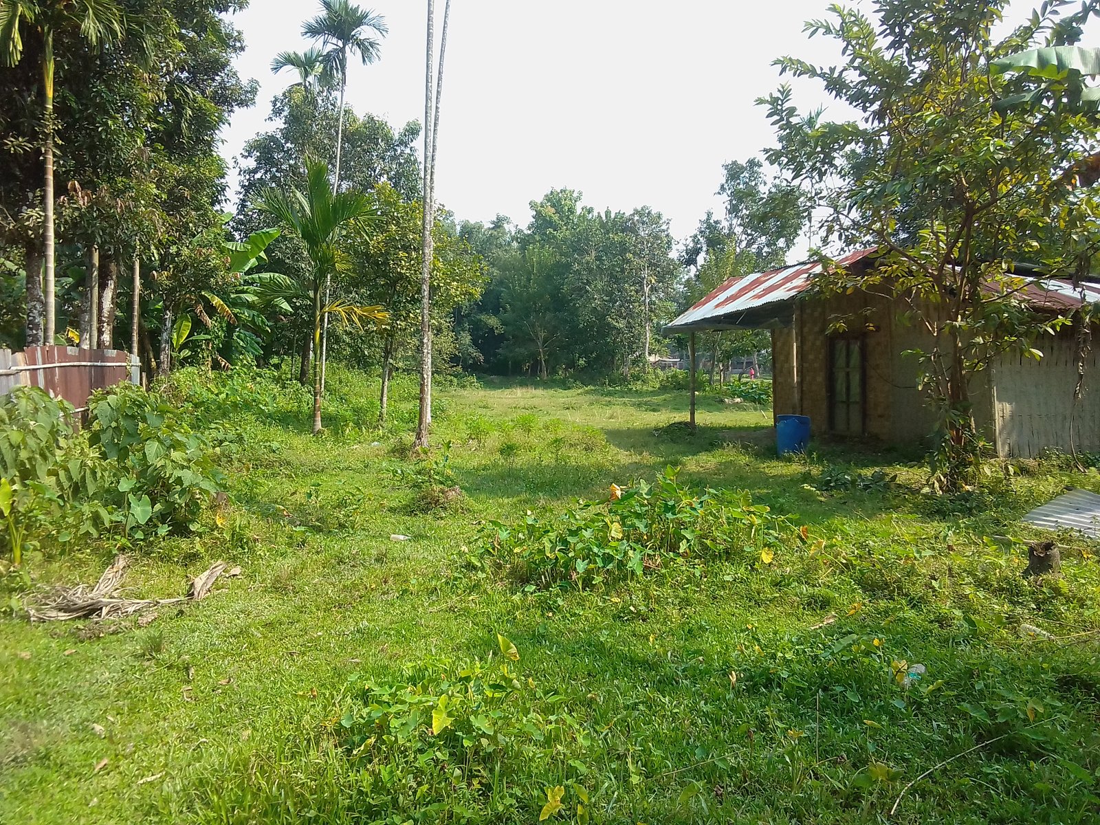 Land for immediate sale - Ranipiur Manipuri Colony