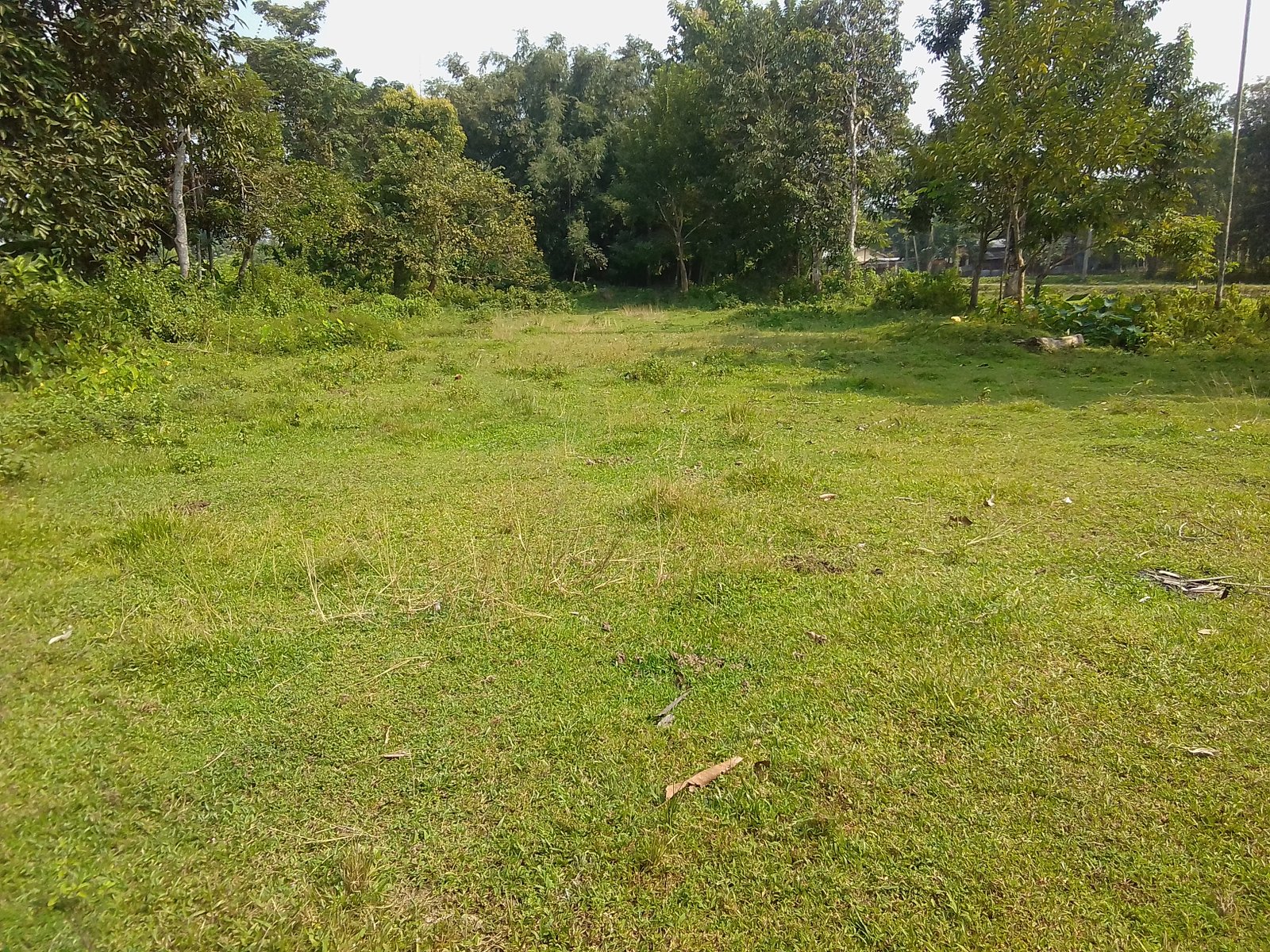 Land for immediate sale - Ranipiur Manipuri Colony