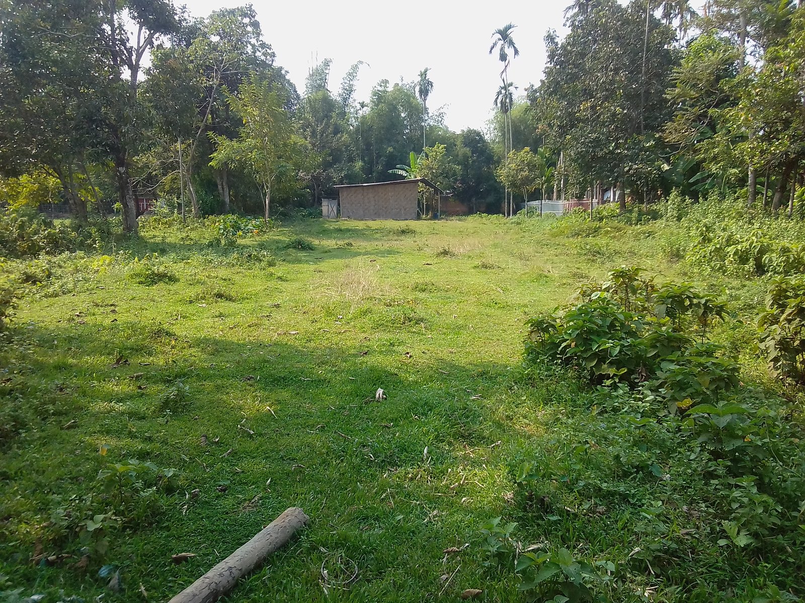 Land for immediate sale - Ranipiur Manipuri Colony