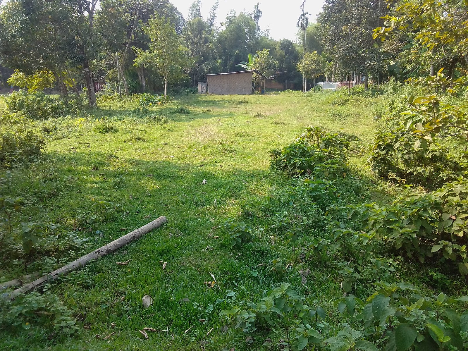 Land for immediate sale - Ranipiur Manipuri Colony