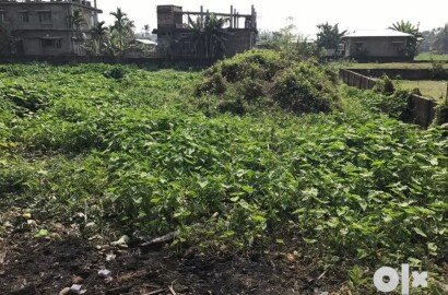 Vacant land - Assamese bosti