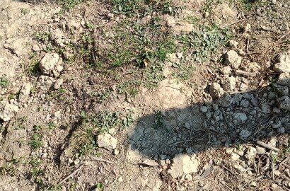 For sale 3 Kata land with house