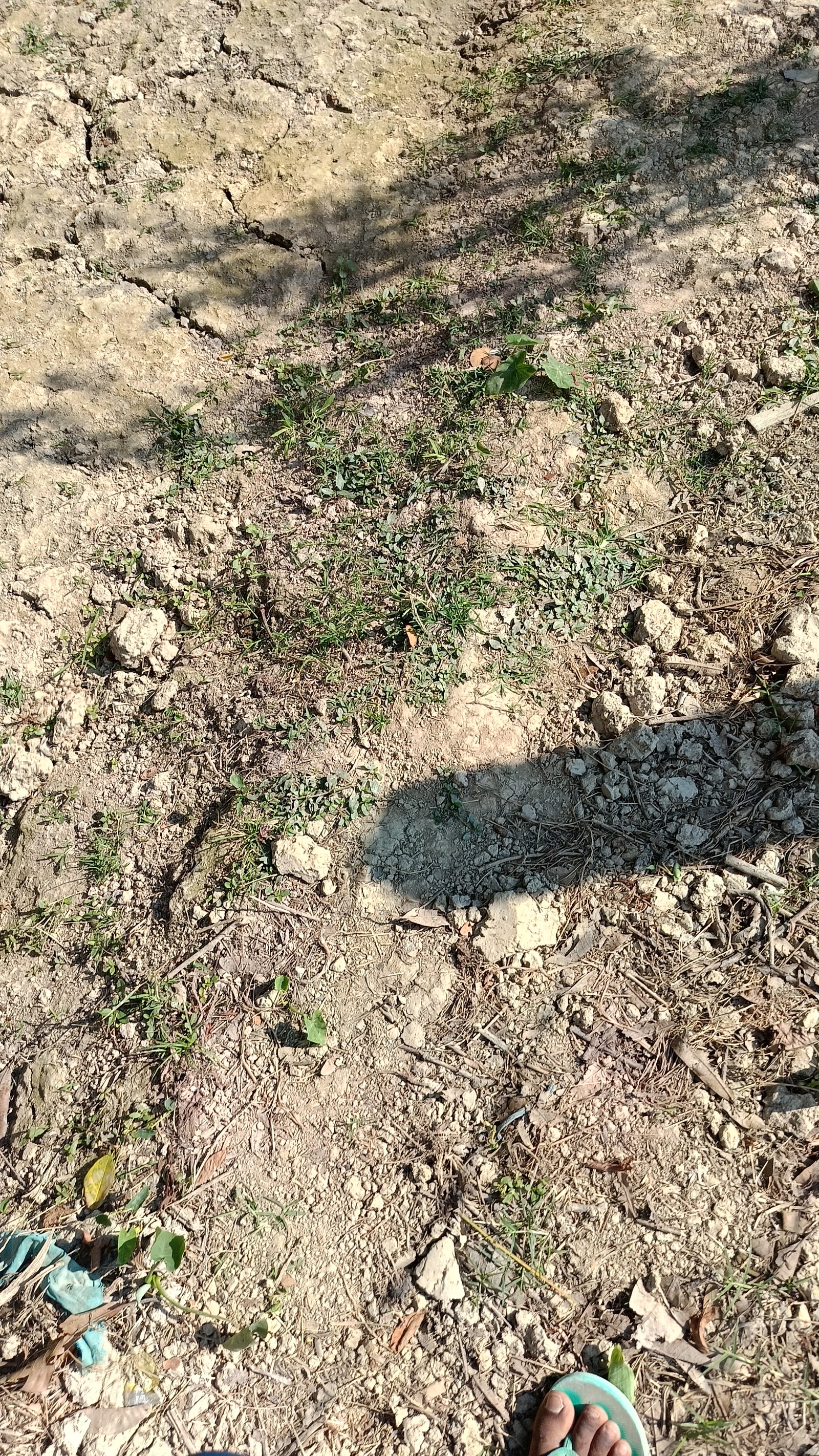 For sale 3 Kata land with house