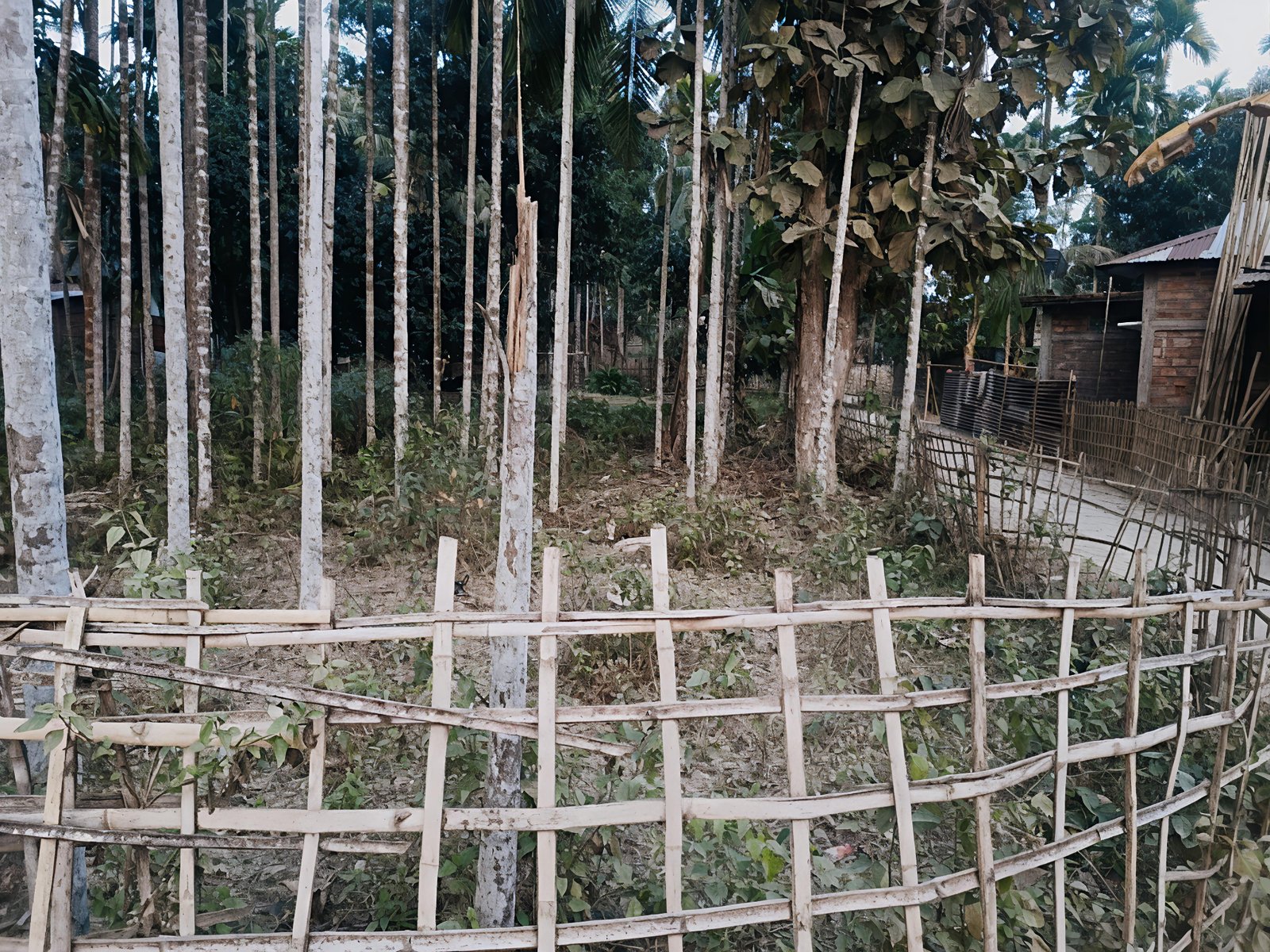 5 Katha Residential Land with Legal Documents – Joypur, Safe Neighborhood