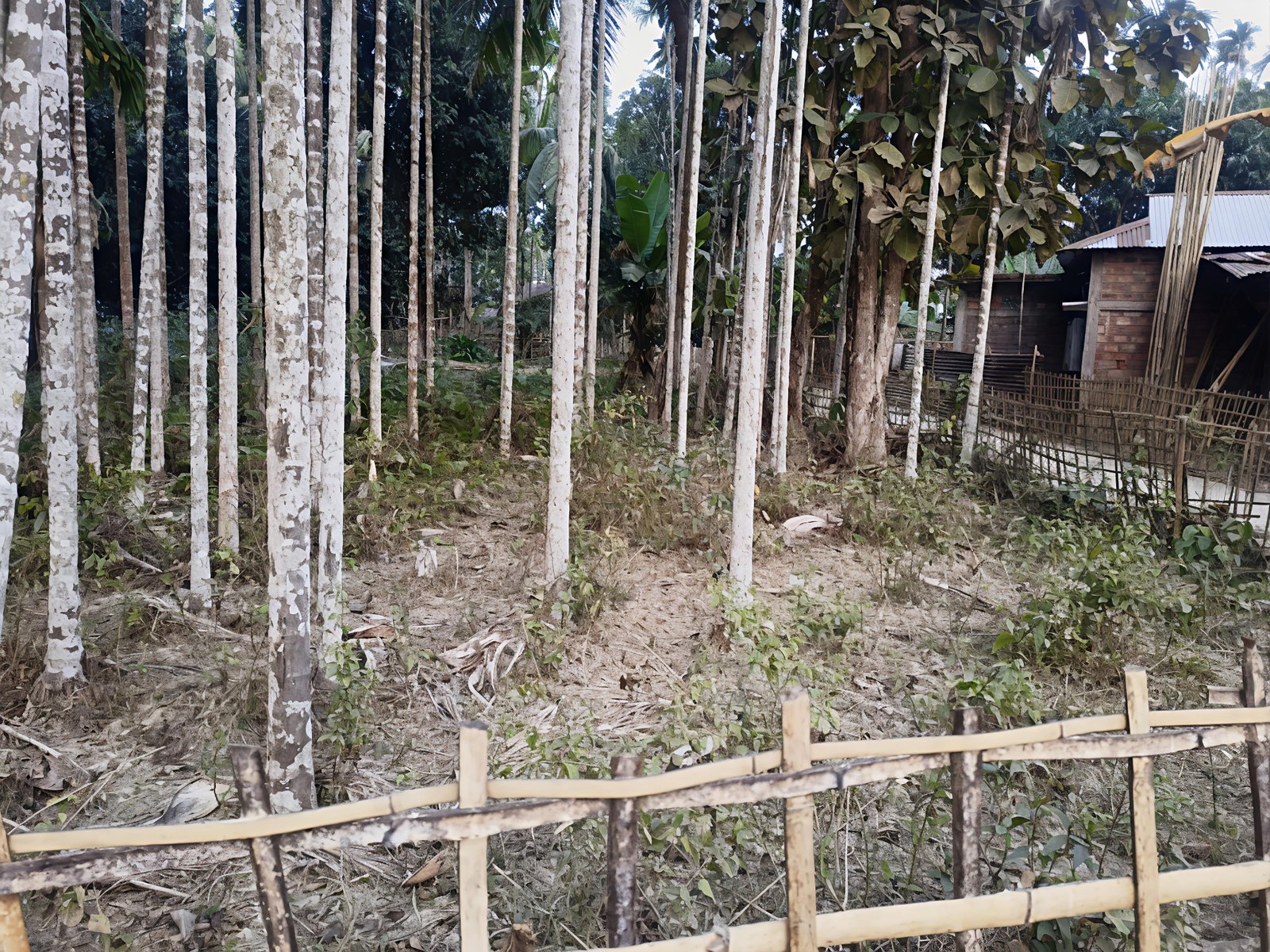 5 Katha Residential Land with Legal Documents – Joypur, Safe Neighborhood