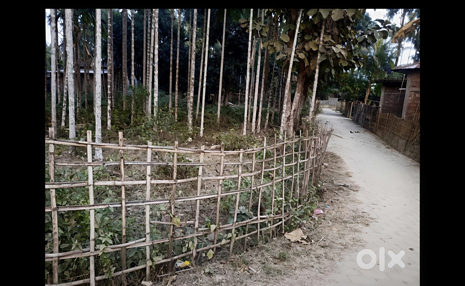 5 Katha Residential Land with Legal Documents – Joypur, Safe Neighborhood