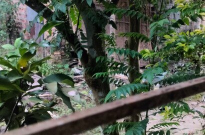 Assam type single Room