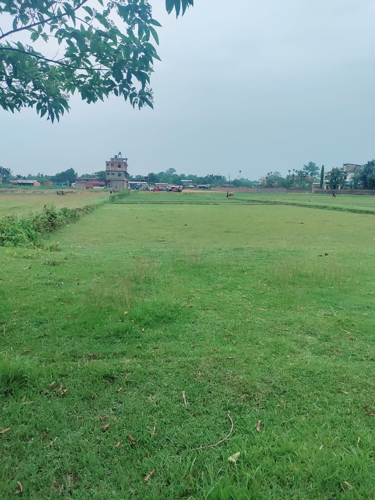 Plot for lease -City Silchar