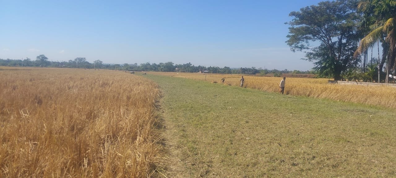 Prime land sale in Patharkandi, Hingari, near Block office