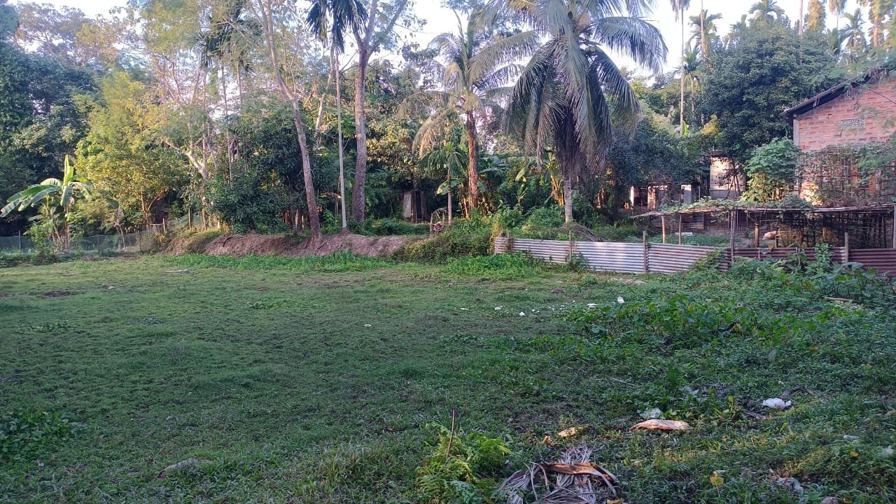 Prime land sale in Rajargaon, Patharkandi, 2 mins walking distance from national highway