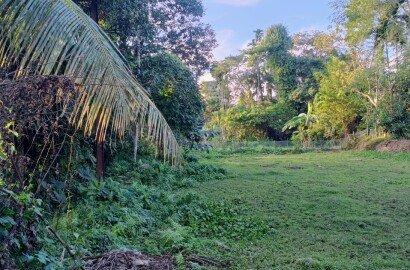 Prime land sale in Rajargaon, Patharkandi, 2 mins walking distance from national highway