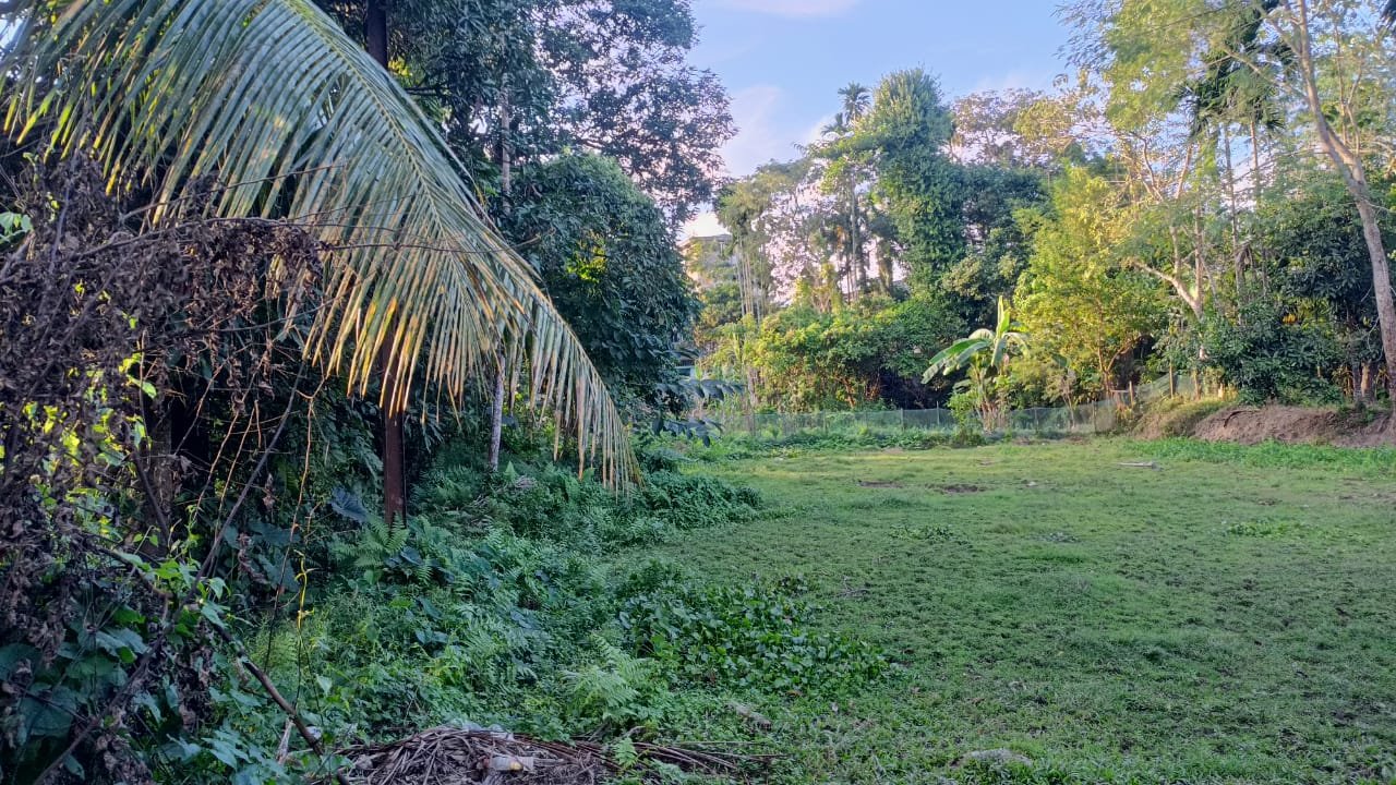 Prime land sale in Rajargaon, Patharkandi, 2 mins walking distance from national highway