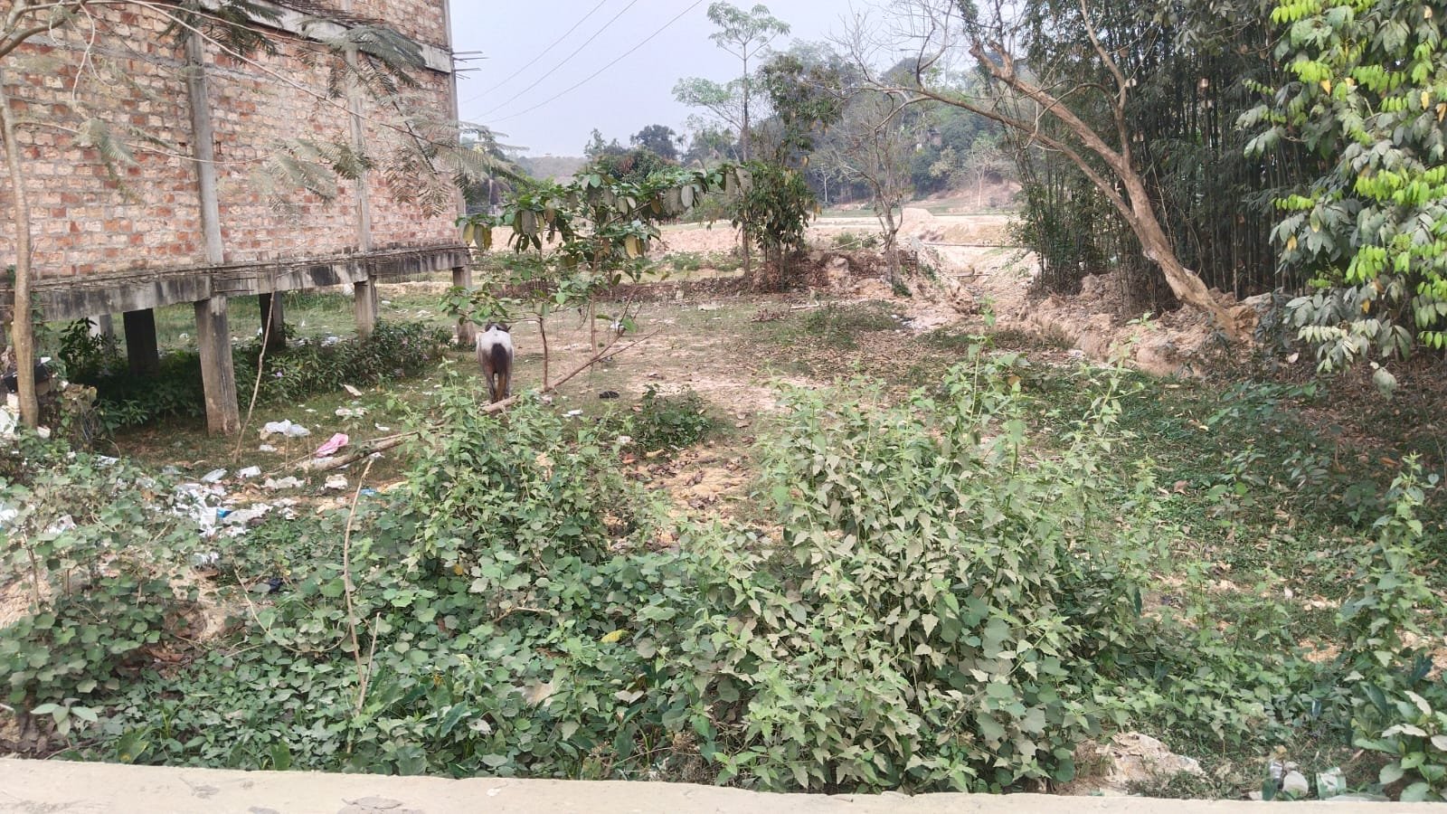 Land for Sale - Dargarband Bazar , Sonbil