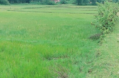 Plot for lease -City Silchar