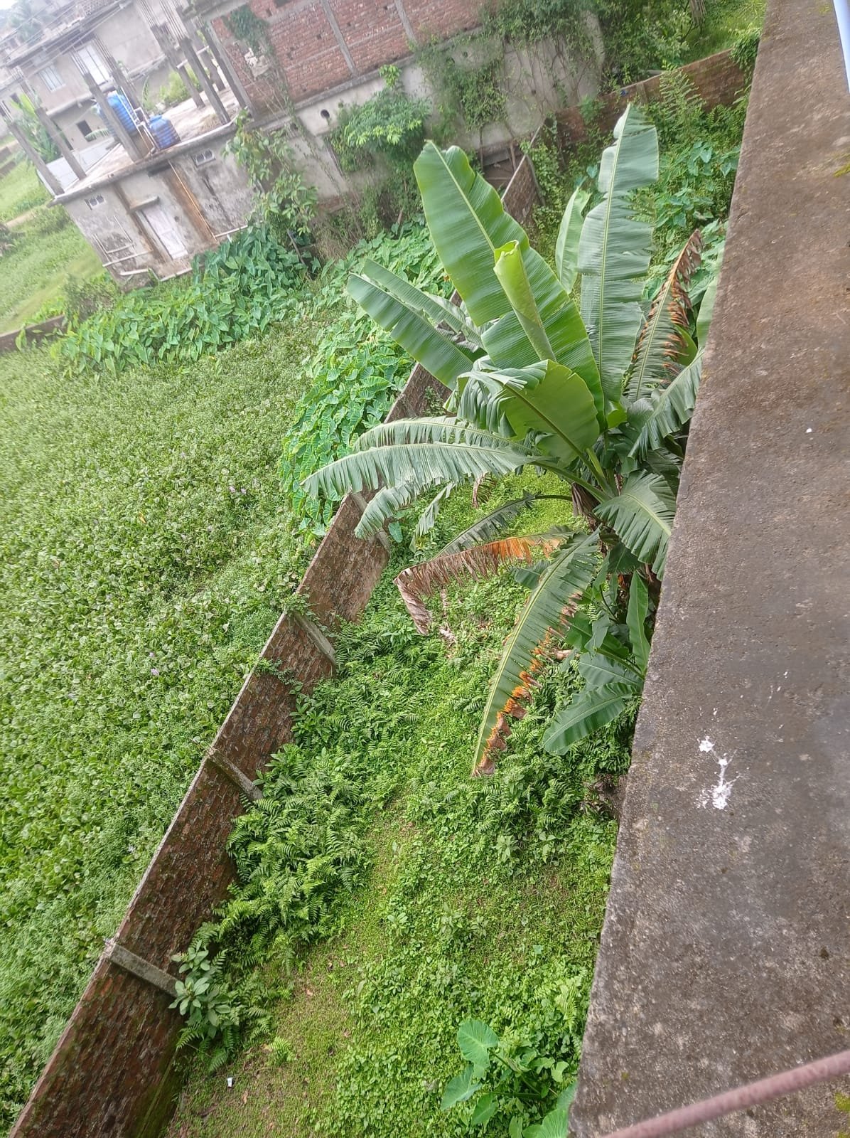 Prosenjit Singha